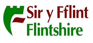 flintshire council